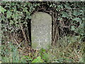 Old Milestone by the A417, near Bullock Bridge, Burley Gate in HR1 3QJ