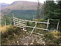 Gate at the forestry boundary near Fassfern in PH33 7NP
