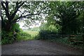 Gates along Boscoppa Road in PL25 3BY