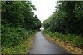 Cycle path along the A391 in PL25 3BY
