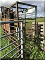Cattle crush, Whitridge in NE61 4JR
