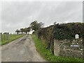 Farm track to Bronial in SA38 9QN