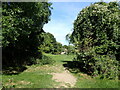 Path near Taddington Wood in ME5 0XL