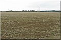 Ploughed field by North Lodge in Burton and Broughton Ward