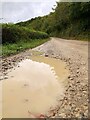 A puddle on a muddy track in YO18 7NF
