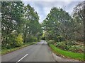 Looking east-southeast along Hollywater Road in GU35 0AG