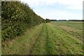 Footpath to Winterton Holmes in NR29 4DW