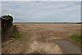Field near Winterton Holmes in NR29 4DW