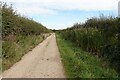 Restricted byway from Winterton Holmes in NR29 4DW