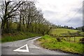 Glantwymyn : Country Lane in SY20 9NZ