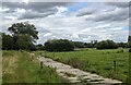 Path to Earsham across the water meadows in NR35 1RF