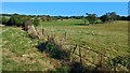 Field edge path north of Cowesfield Green in SP5 2RR