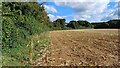 Field edge on Dean Hill in SP5 1ES