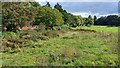 Field edge above Bunny Lane in SP5 2TE