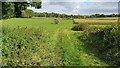 Footpath east of Testwood Cottages in SP5 2QZ