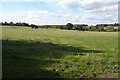 Field near Edstone Farm in B95 6DP