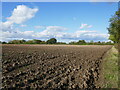 Ploughed field near Great Steeping in PE23 5PJ