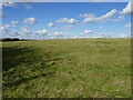 Grass field near Ashby by Partney in PE23 5PW