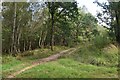 Footpath junction in Ampfield Woods in Ampfield & Braishfield Ward