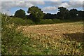 Stubble field beside Farley Lane in SO51 0QR