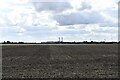 Sutton Bridge: Field in PE12 9YR