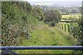 Grass track from byway down to side of A40 in SA34 0HG