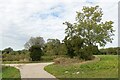 Footpath along Honeypot Lane in NR29 4DZ