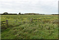 Wet field by Holmes Road in NR29 4DZ
