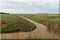 Ditch off Holmes Road in NR29 4DZ