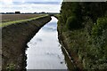 Sutton Bridge: Lutton Leam Outfall in PE12 9QL