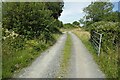 The North Wales Pilgrim's Way near Capel Uchaf in LL54 5DH