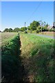 Ditch by the Tendring Road in CO16 0DE