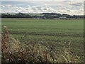 Fields, Eshott Airfield in Thirston