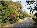 Darlington, Abbey Road in DL3 8HY