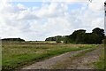 Hunston: Wide track to Hunstonhall Farm in Hunston