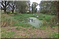 Pond in Burton Wold Farm in NN15 5PJ