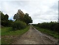 Gated track off Binham Road in NR25 7AS