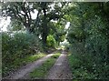 Farm track heading south near Saxlingham in NR24 2PH