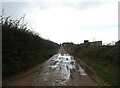 A muddy track near Bayfield Brecks in Letheringsett with Glandford