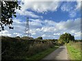 Pylon and power lines on Knighton Lane near Inkberrow in WR7 4HX