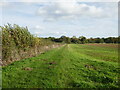 Bridleway off Marholm Road in Castor