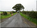 Minor hedge-lined road near Clerkston in DG12 6TH