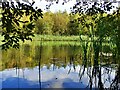 Small lake on the Nostell Estate in WF4 1LB