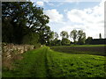 Bridleway alongside Golf Course Plantation in Castor