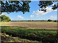 Farmland next to the Ratby Burroughs in LE6 0XZ