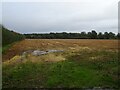 Stubble field beside Norwich Road in NR12 8YH