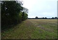 Stubble field and hedgerow in NR12 8YE