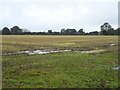 Stubble field off Cangate Road in NR12 8YE