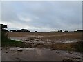 Muddy field off Common Road in NR12 8LB