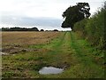 Farm track south of Hall Road in NR12 8XU
